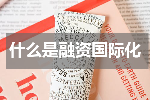 融资国际化是指通过各种金融工具和相应的机构,在国际金融市场上进行
